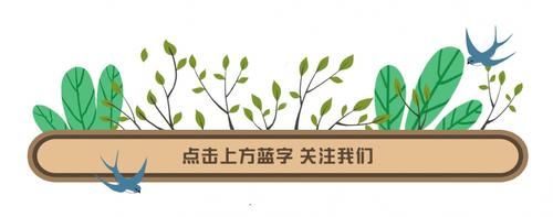 老年|自然丨仰天窝阳光健身步道升级！山顶湖泊等你来打卡~