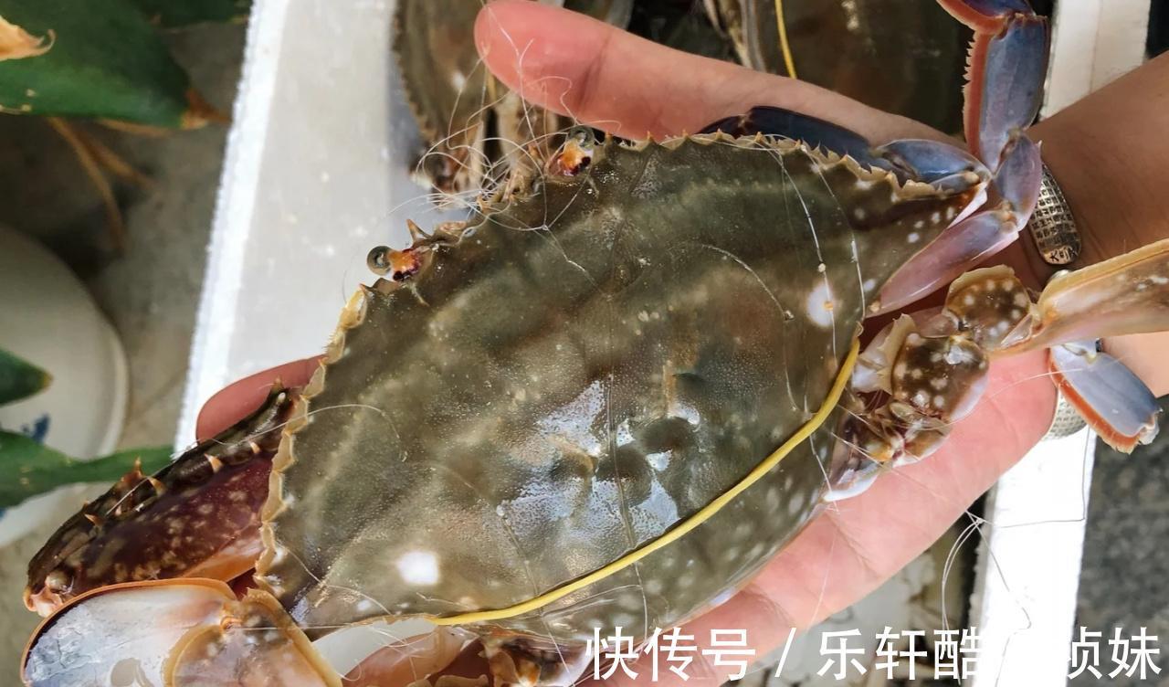大闸蟹|蒸梭子蟹总是掉腿那是蒸法错了!教你3个技巧,鲜嫩多汁不掉腿