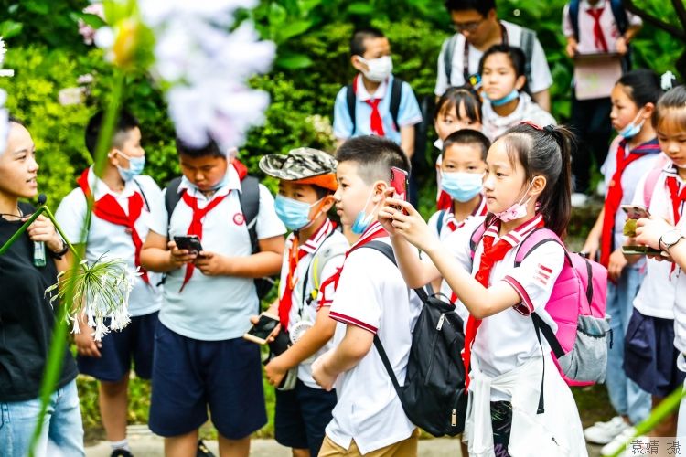 公务员|教育部：鼓励各地建设九年一贯制学校，确保教师收入不低于当地公务员水平