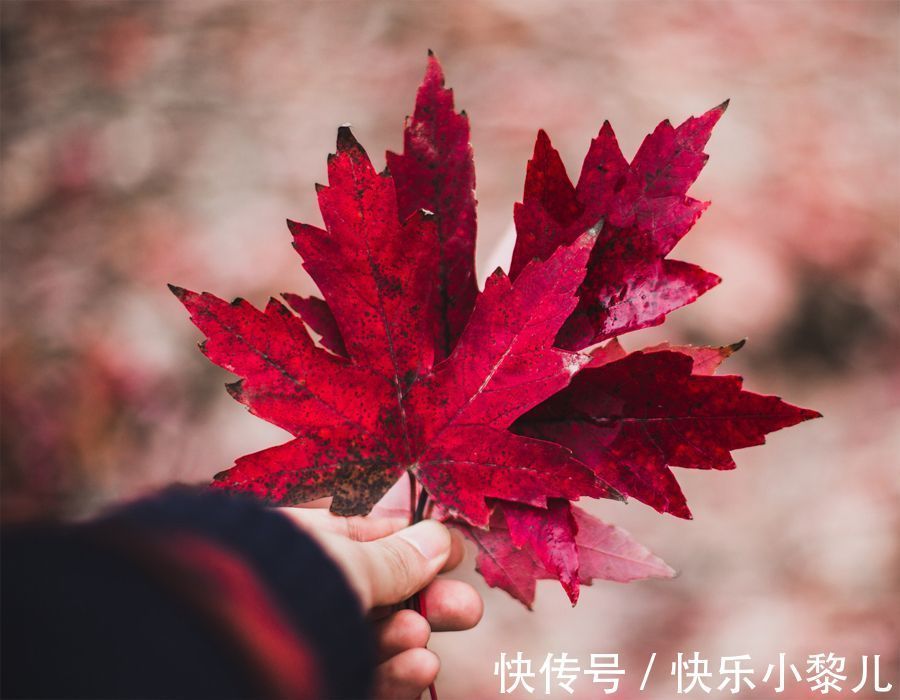 天蝎座|时间不是解药,但时间里藏着解药,这三个星座女,在失恋中重生