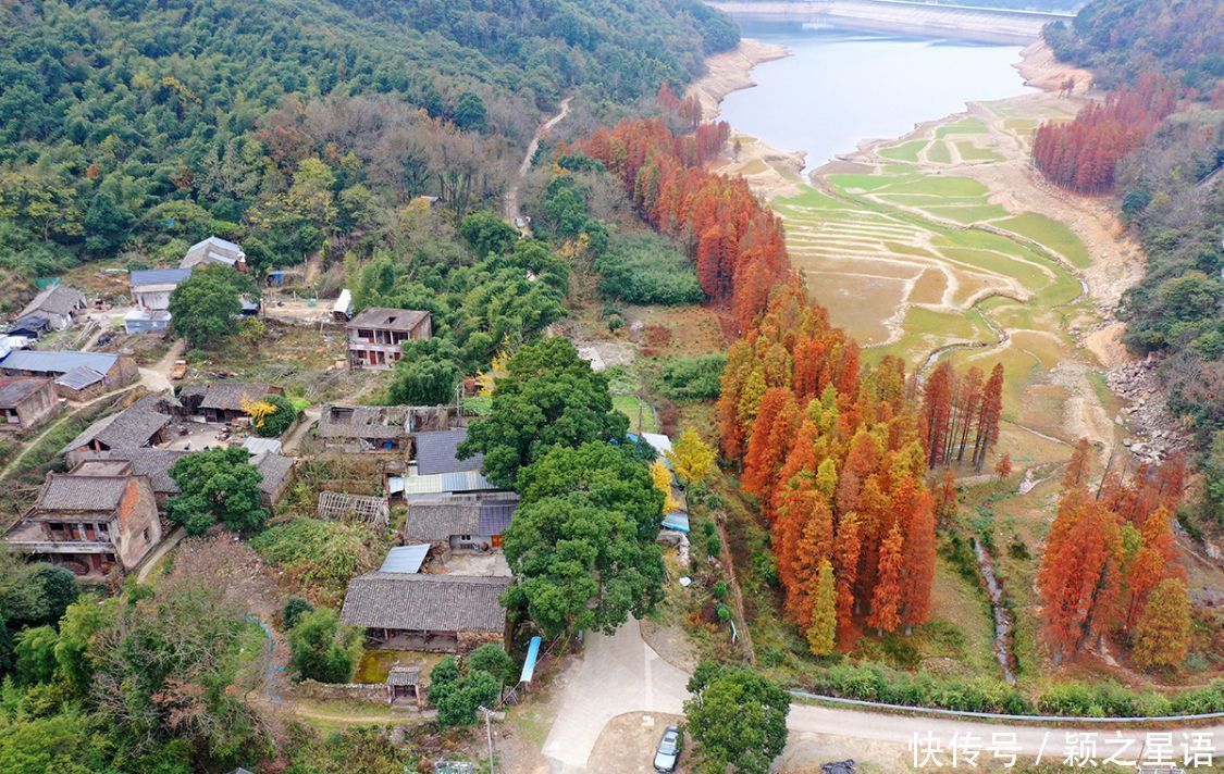 红杉林|水库水杉红，风光之美，缺水之忧