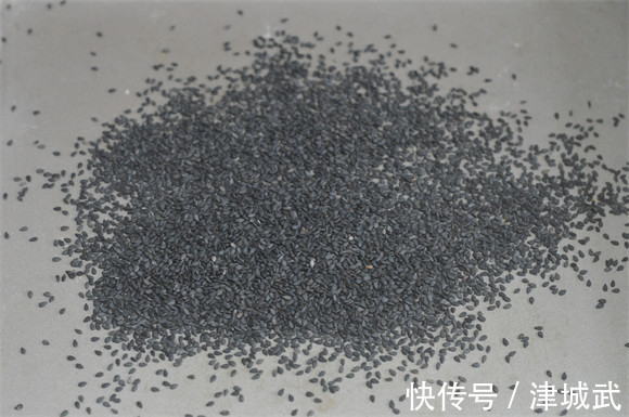 打粉机|冬天的绝佳早餐,钙是牛奶的6倍,学生娃多吃,补脑特别好!