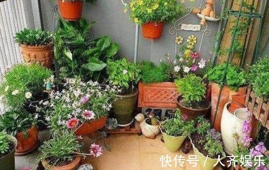 家里不能养的几种花，只放一盆，都会影响家人身体健康，了解一下