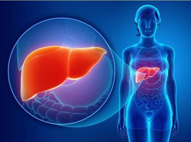 消化道出血|放屁多不是好事,或许是肝硬化正在“靠近”,3个调理方法请收好