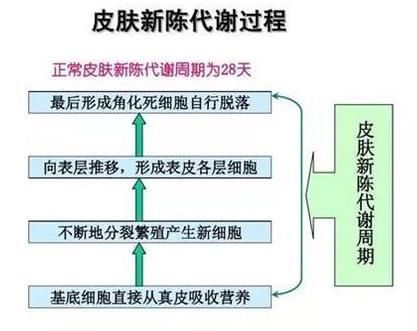 拯救敏感肌并不难！你平时注意这几点，就是在修复你的肌肤屏障！
