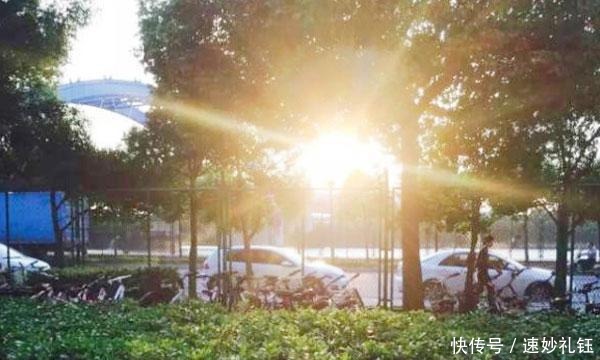 骨科医生|骨科医生:人过60,就怕骨折!吃什么能护骨?不喜欢也要多吃