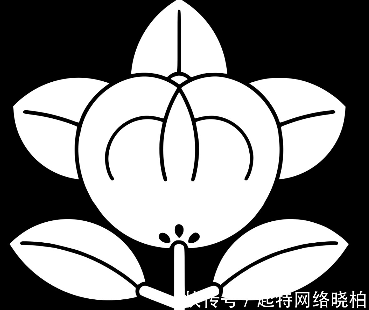 日本历史|柯南和毛利兰的祖先都是贵族?日本四大贵族姓氏你知道几个