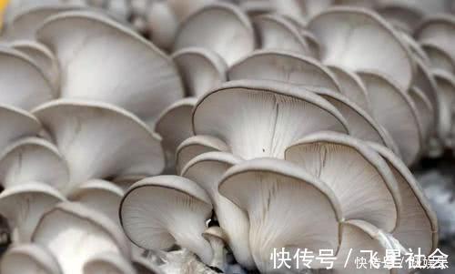 吃了20年饺子，百吃不厌，比吃肉都要香，好吃！