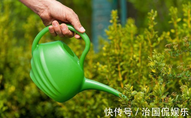 浇花|再好养的花，也不能这么浇水，正确方法要知道！