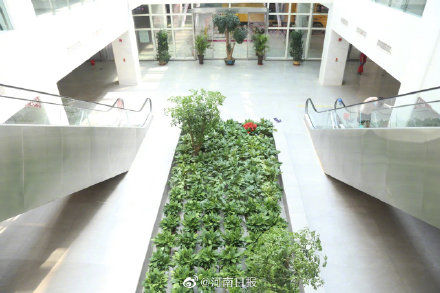 阜外华中|阜外华中医院一个月内免挂号费