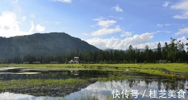 荒漠|塔里木盆地又有新发现！作为我国的荒漠，已焕发出全新的生命力