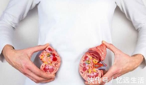 鸡骨草|三斤枸杞抵不过此物一钱,日常泡水喝,祛肝火补肾气,健康长寿!