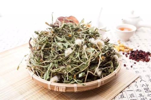 鱼腥草|女人子宫不好,常喝4种护宫汤,帮你保养子宫,预防妇科疾病