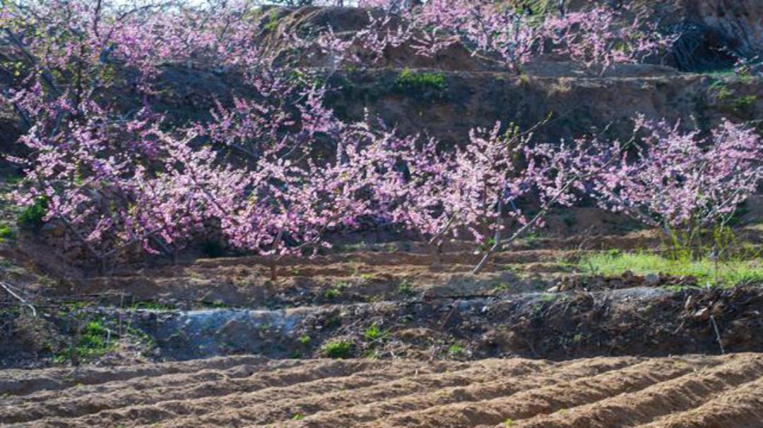暗用|裴迪一首很有趣的诗,通篇构思巧妙暗用典故,寓意深远很有韵味