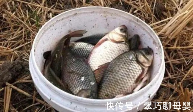 窝料|不用打窝也能狂拉不断,老钓友用这方法,一天钓几十斤!