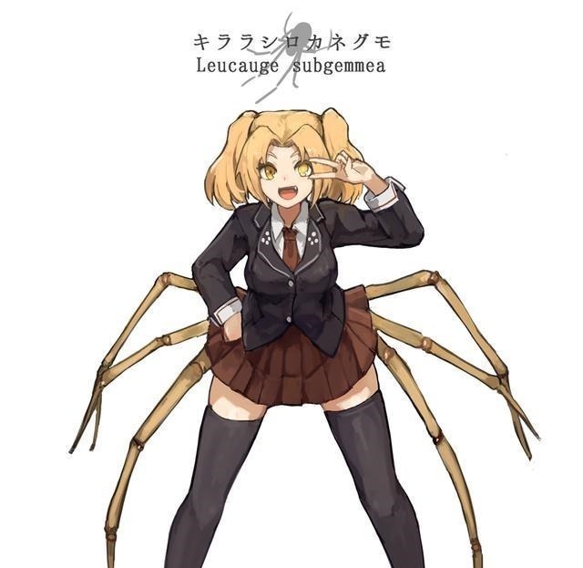拟人|蜘蛛也能变成美少女这位画师口味太硬核,但仔细一看还挺可爱