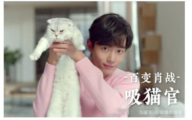 肖战|肖战换装垮了吗，并没有，登视频热榜，圈粉近40万