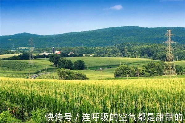 土地|已婚女子户口在娘家,土地确权有份吗听内行人说完,瞬间明白了