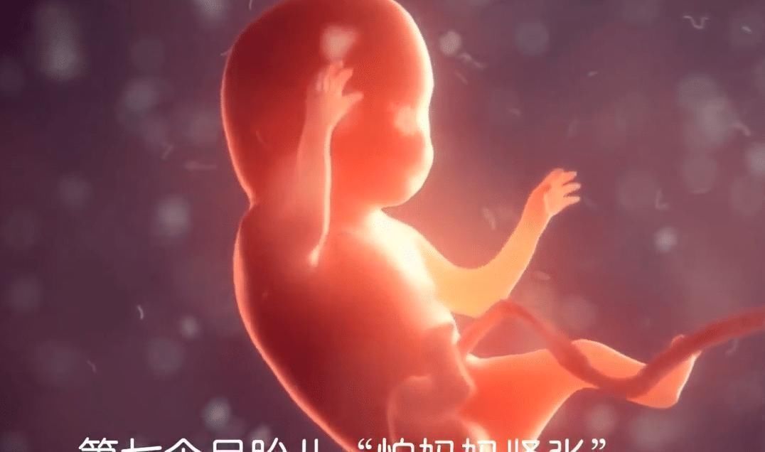 小尾巴|胎儿在孕妈肚子里最怕啥怀胎十月,每个月都有不同的“脆弱点”
