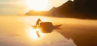 云雾|念念不忘,安顶茶