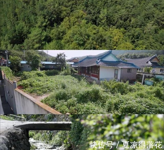 韓綜|《頂樓》后衍韓綜熱播，劇中反派于劇外“勞改”打開綜藝新思路