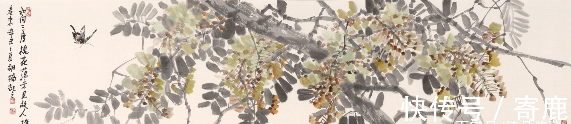 畅春!雅润天成|胡楠「花鸟画」