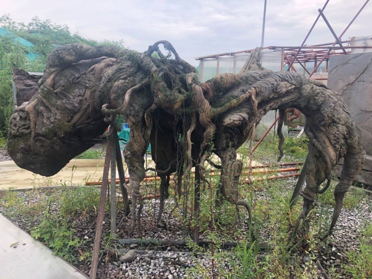  城堡|劳模创新工作室环球影城“造景”，来看水泥砂浆如何变城堡恐龙