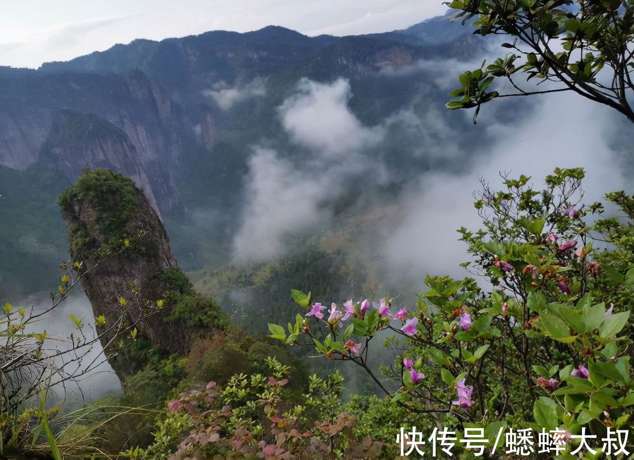 徒步|浙江有个周末徒步胜地，被誉香格里拉，原生态体验令人流连忘返