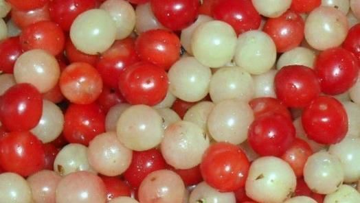 健康|为了孩子的健康发育,这种水果再贵也要舍得给孩子吃,家长别错过