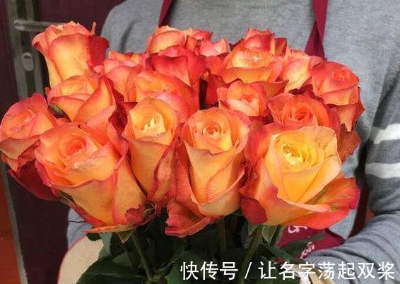 金辉玫瑰|喜欢菊花，不如养盆“精品玫瑰”金辉玫瑰，似少女裙沿，俏皮可爱