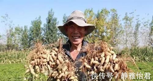 补钙|年纪大了要补钙，家里多煮这4样食物，强健筋骨，比钙片还管用！