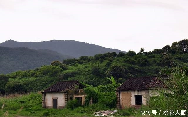 阿狗|故事：光棍在山洞与鼠对饮，三十年后青年丢下鼠躯：不枉相交一场