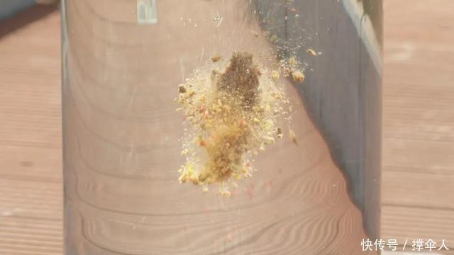 拉丝粉|蓝鲫速攻九一八,用好了大小鱼都能钓用不好全是小鱼闹窝皇禾渔具