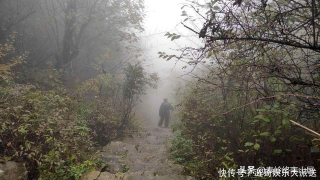 终南山拜访住山洞隐士，整日与猫狗蛇鼠为伴，这位隐士如何做到的