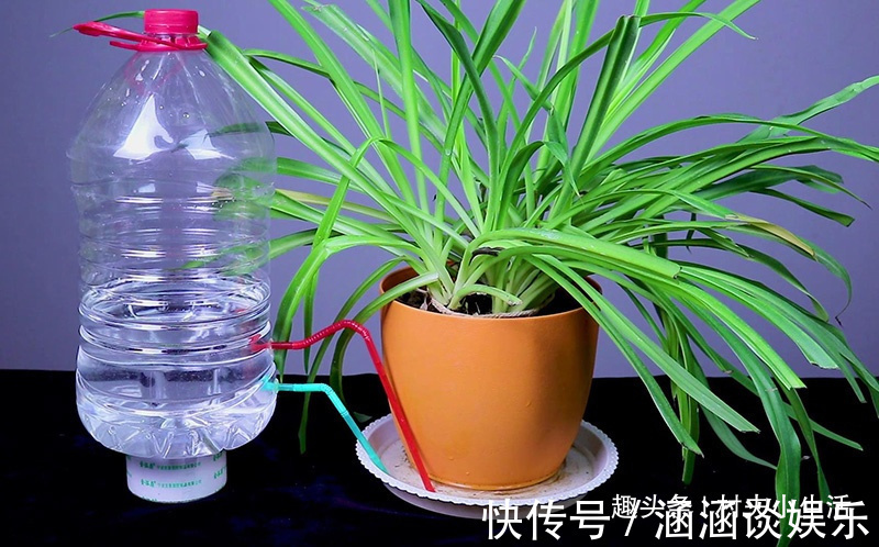 食用油桶不要扔，清洗干净改造一个神器，家家户户都用得上