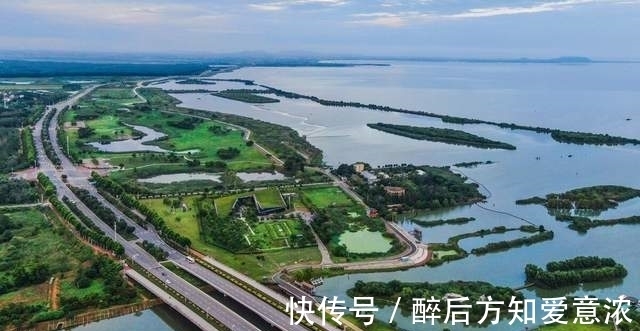 千岛湖|4000年的鱼米之乡，如今患上“营养病”？巢湖水华整治成难题