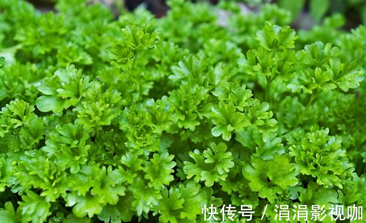 食物|女性不想成黄脸婆，要多吃3种食物，淡化斑点，子宫健康，显年轻