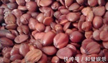 主烦心|睡前坚持食几粒小果子,坚持15天,失眠治好了,生理期也不烦躁