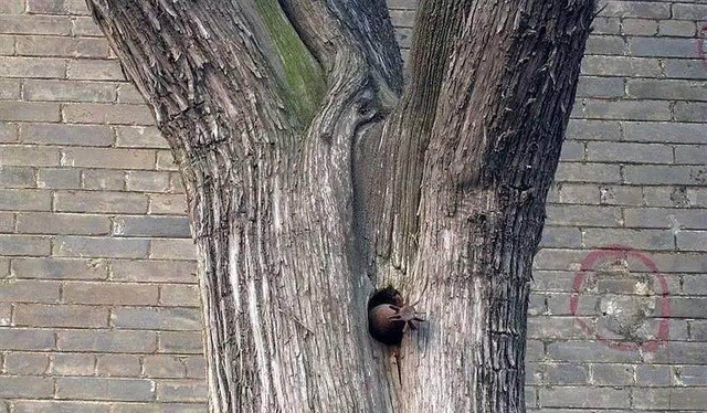 历史上有许多的事情,是科学无法解释的通的。