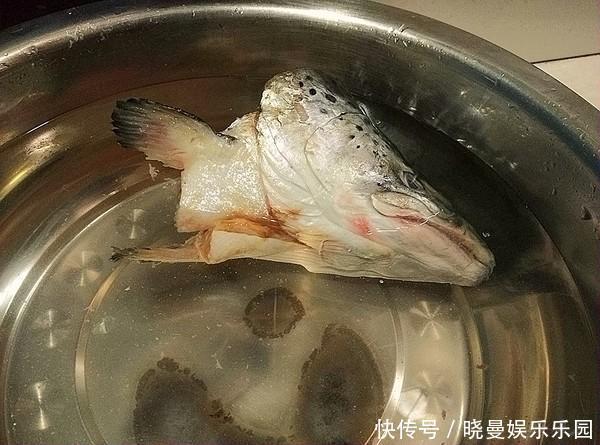 鱼头|不管炖什么鱼汤,最忌讳加“它”!许多人做错,难怪鱼汤不白还腥