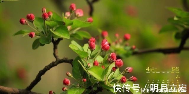 新绿|元好问晚年回到故乡,写给儿孙一首诗,指出了人世间最好的教养