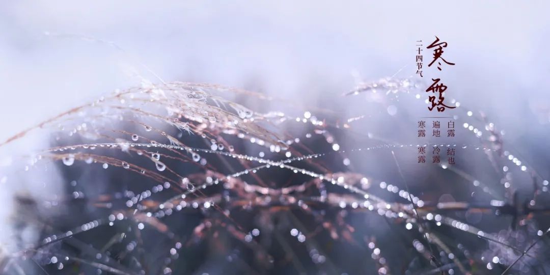 维生素e|天然血管清道夫，老中医早餐吃它50年，血管干净，心脏如小年轻！