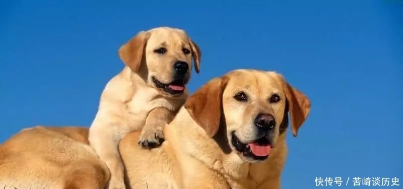 实人|古语:“家有三喜出能人,宅有四实人富贵”,指的是哪三喜四实?