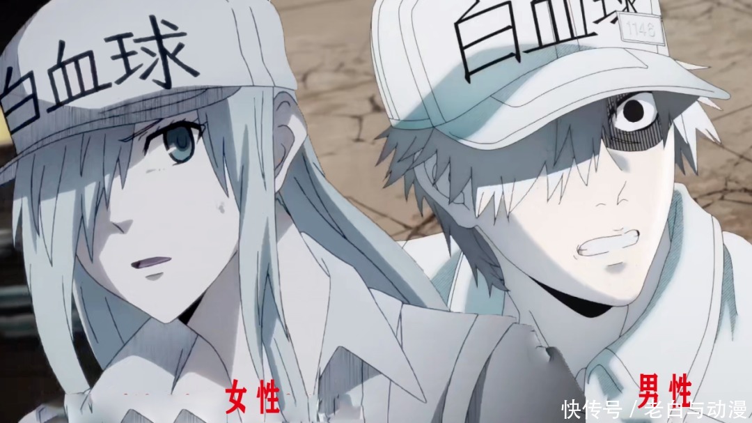 白血球|什么性别的白血球让人喜欢?看下他们的战斗,答案有了!