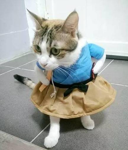 |搞笑图片幽默段子笑话哈哈哈,妹子你走路要看着点地上啊