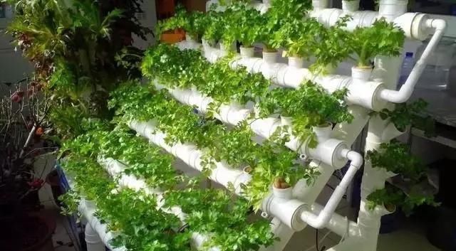 纸皮|家里这10种东西别再扔了,看到第一个就犯错,后悔当初不该扔