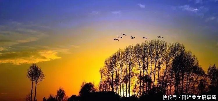 课本|隋炀帝有一首诗,句句惊艳可惜鲜为人知,马致远仿写版却登上课本