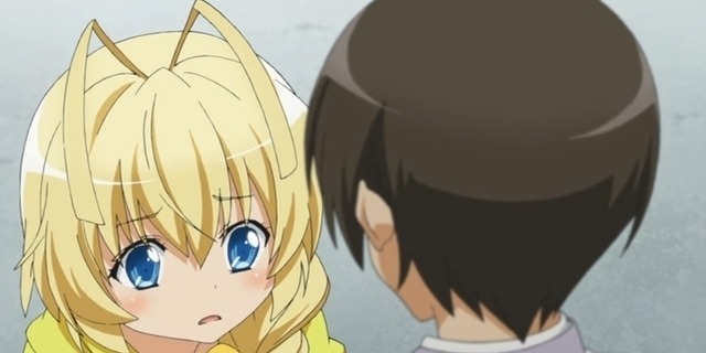 盗贼山惠|角色很萌,声优还是女生,作者你却告诉我们他是男孩子?