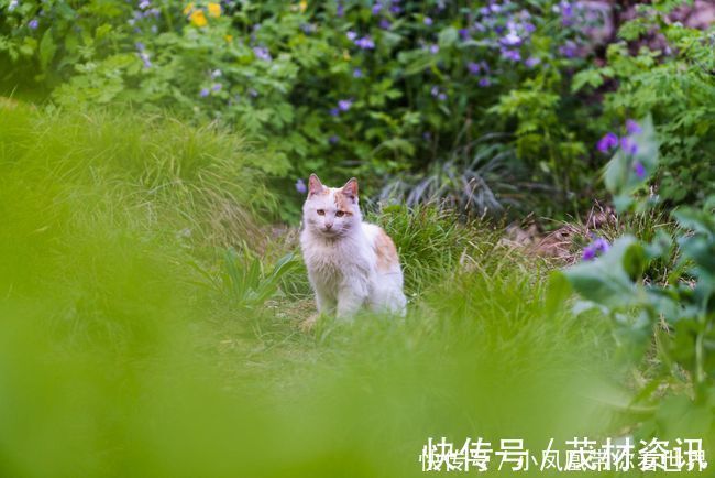 沕沕水|太行山脉有一处婉约江南的秘境，此地泉水潺潺，悬空瀑布经年不歇