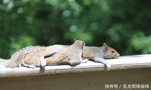 人才|45岁后是养生黄金期,做到三勤、四懒、五不贪的人才健康!